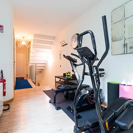 Studi - Collection 4*