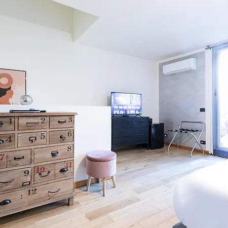 Studi - Collection 4*