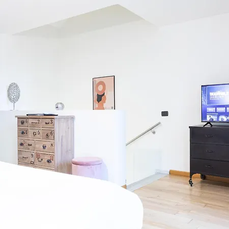 Studi - Collection 4*