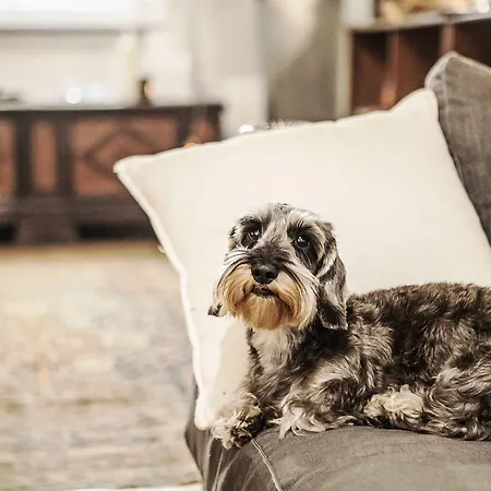 Casa de hóspedes Studi - Collection